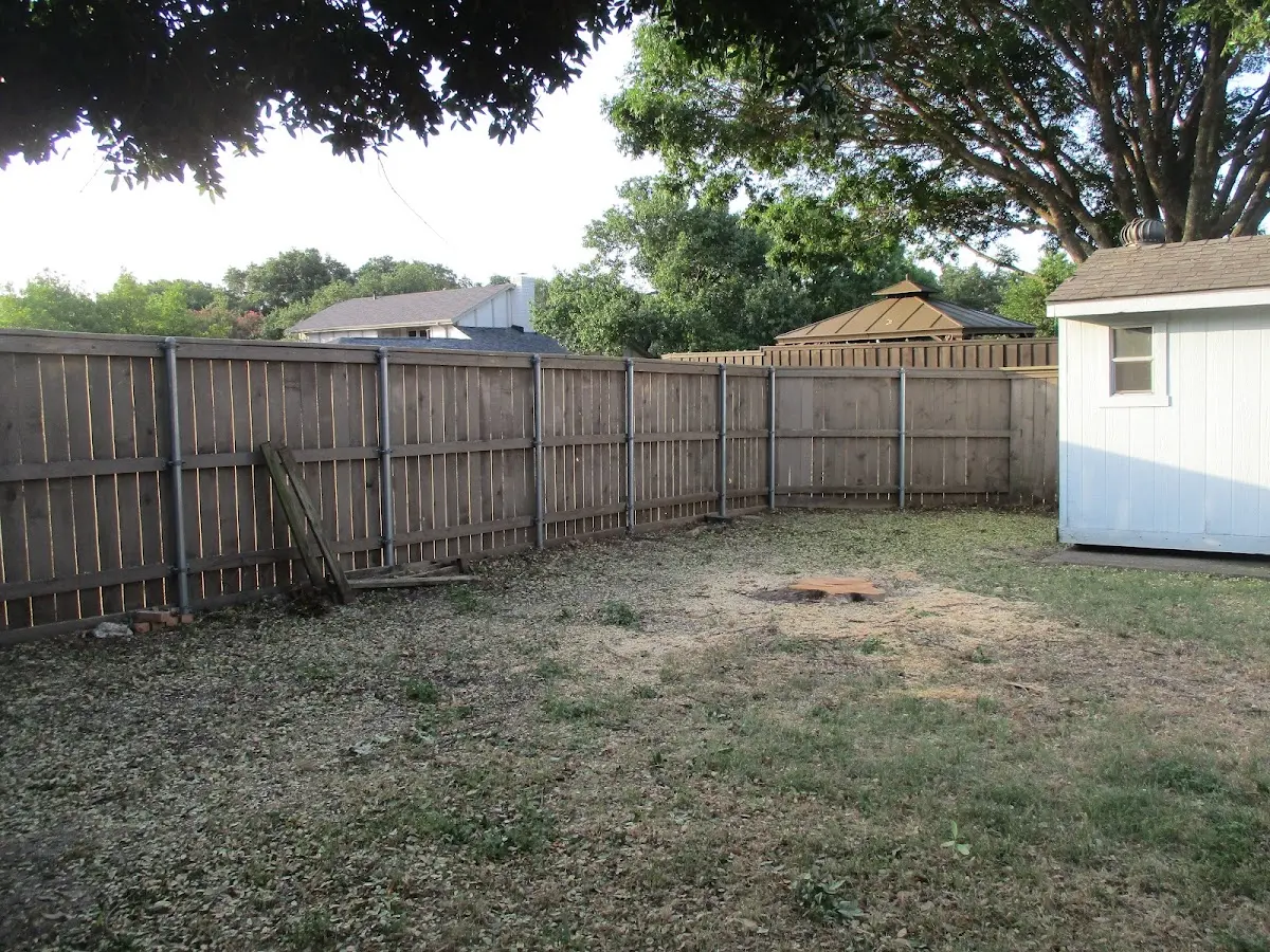 Cleared yard after professional tree removal in Lakeside